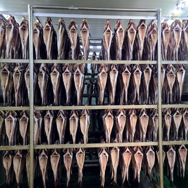 속초명인,대용량 업소용 절단 냉코다리(10kg)