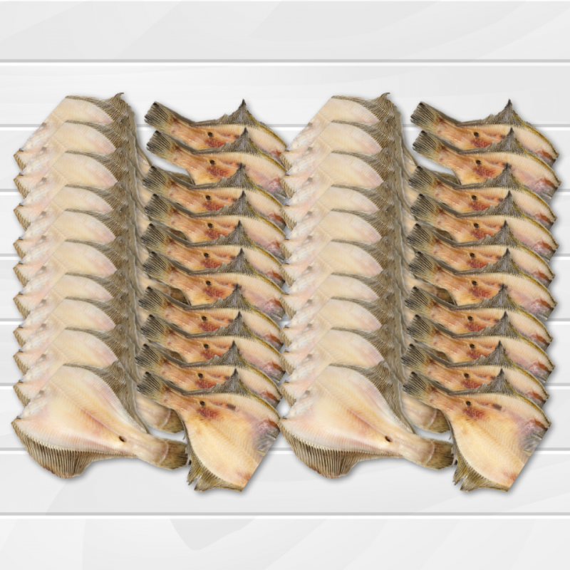 속초명인,대용량 업소용 반건조 두절 가자미